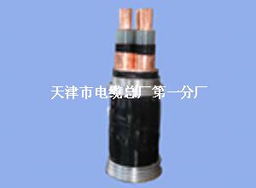 天津市电缆总厂 多品类电缆产品的专业解析
